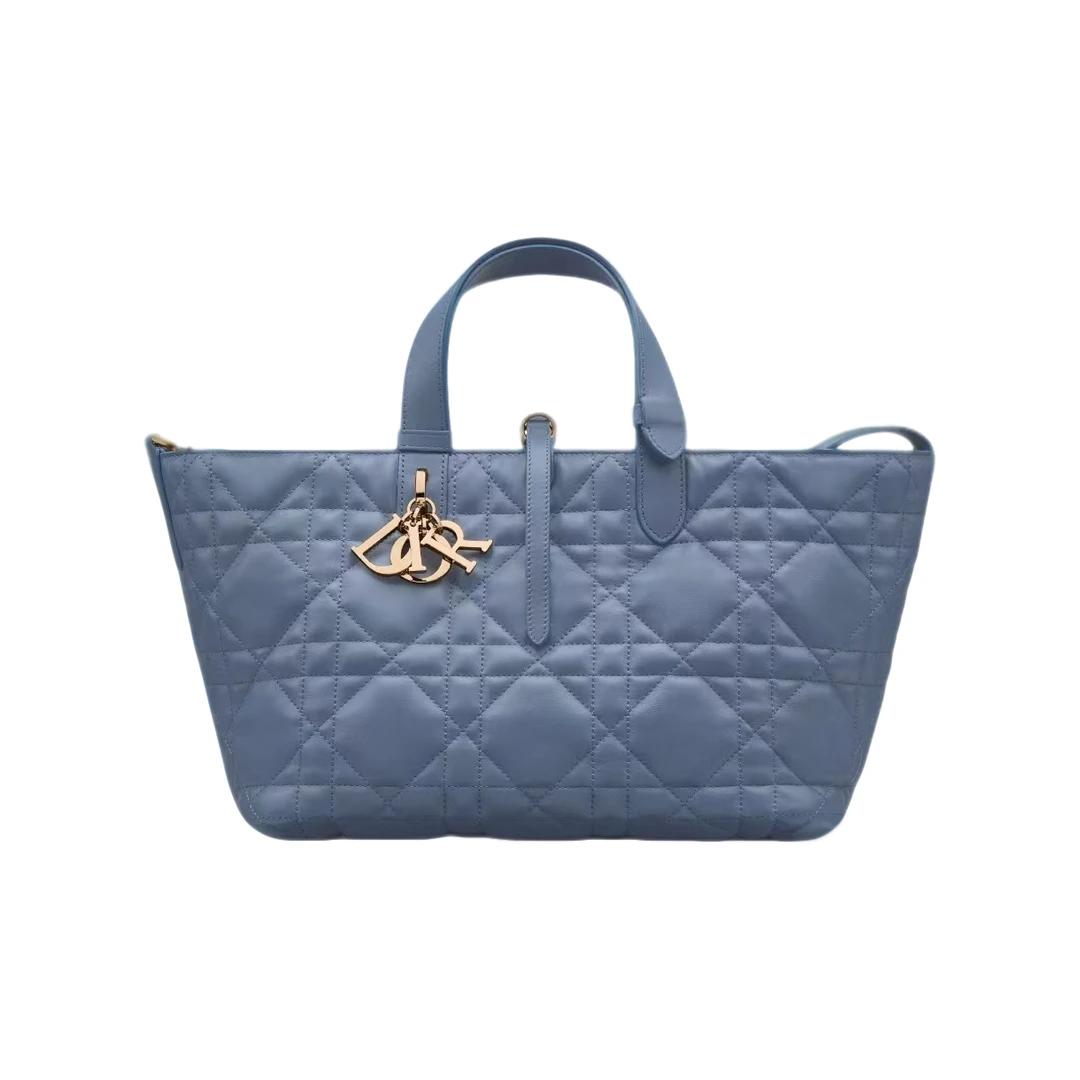 95新 DIOR/迪奥  安洁利严选手提包/zh0925073