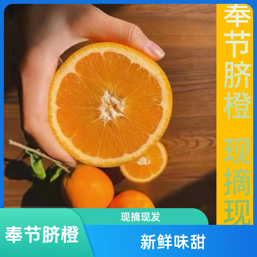 【荷塘杨专属】果农直销奉节脐橙5/10/20斤现摘现发（坏果包赔）维C