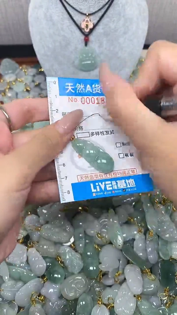 翡翠未镶嵌颈饰净货挂件-1873