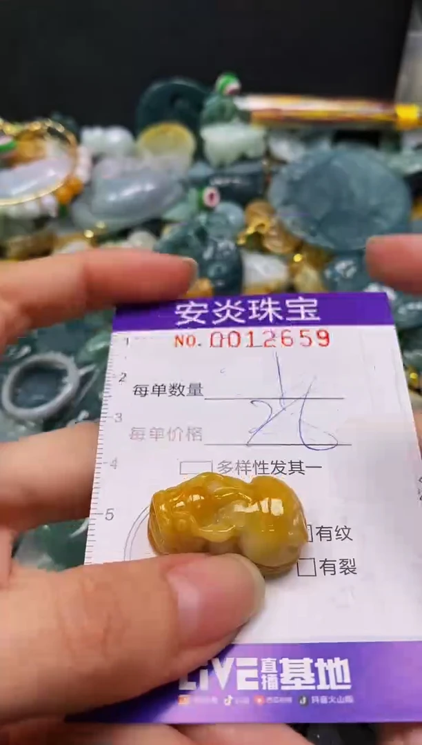 颈饰未镶嵌翡翠闪购0012659