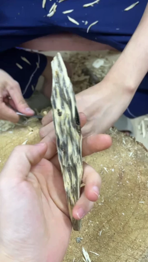 【闪购商品】沉香木沉香碎屑棋楠沉香 原料文创1