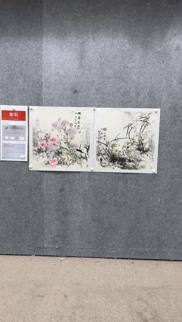 【闪购商品】国画pmb不二轩旗舰店国画PS16