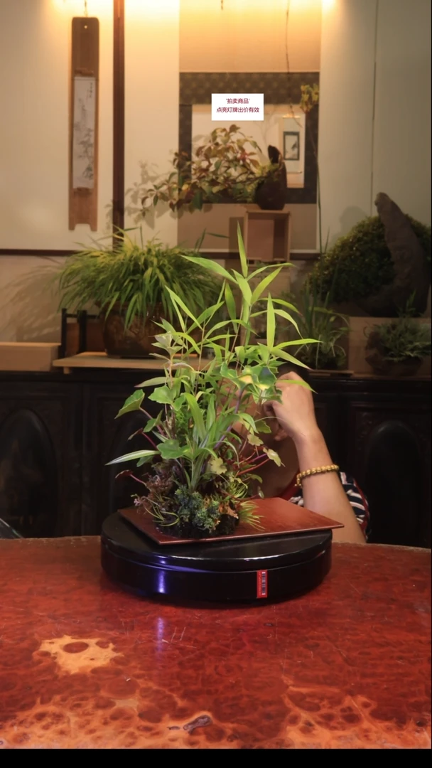 无花朵u迷宫幕后幽默木哟