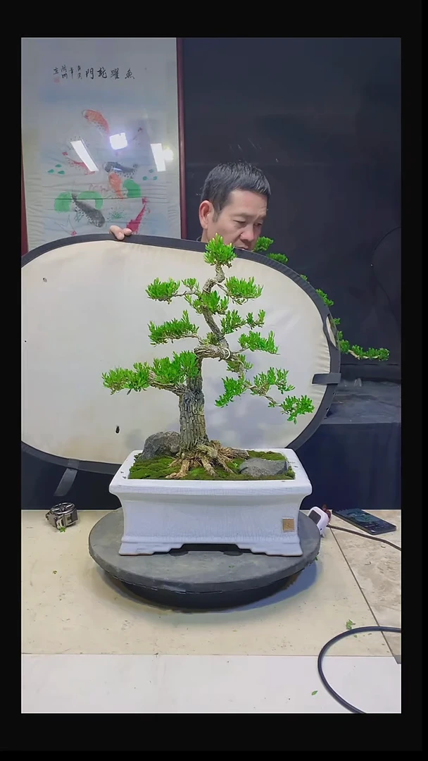 无花朵期*111111111111111