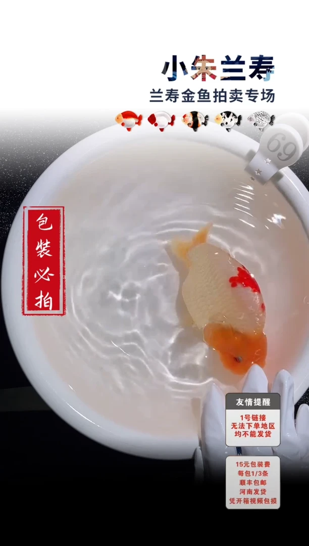 金鱼包装必拍未拍顺丰到付69号