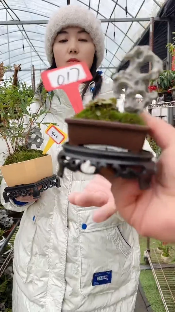 【闪购商品】017