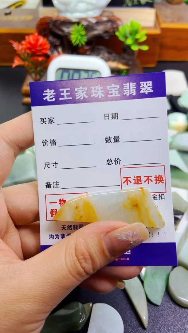 【闪购商品】翡翠颈饰未镶嵌料子