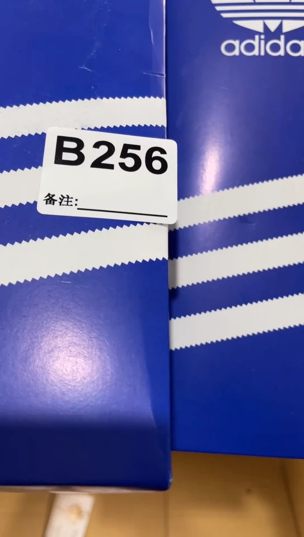 战**己256 111111111111