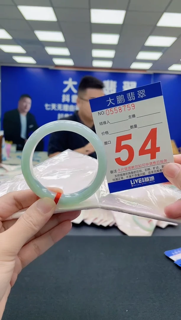 未镶嵌手镯翡翠AAAAAAAAA