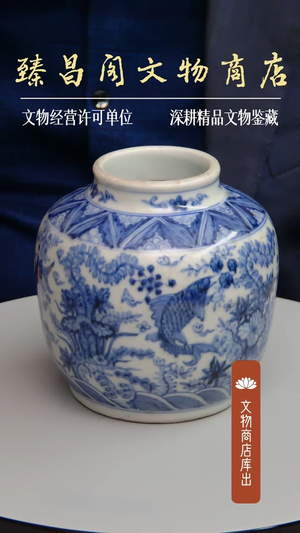 碗青花鱼藻纹罐瓷器d0071