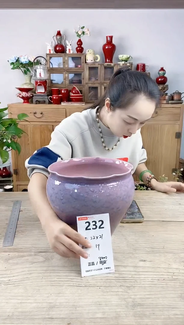 晴好园艺直播编号232