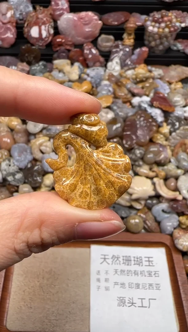 【闪购商品】硅化珊瑚（珊瑚玉）颈饰未镶嵌486