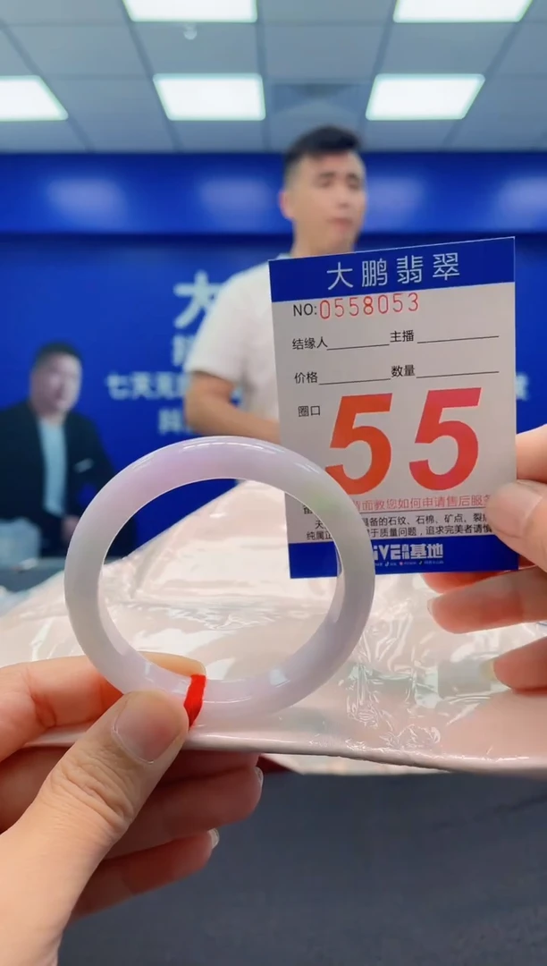 未镶嵌手镯翡翠AAAAAAAAA