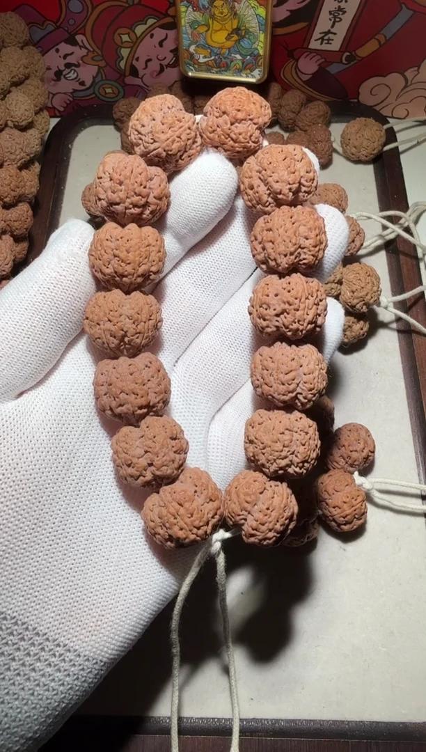 【闪购商品】金刚菩提手串超头针孔细纹凹底龙牙粗筋蜂王22