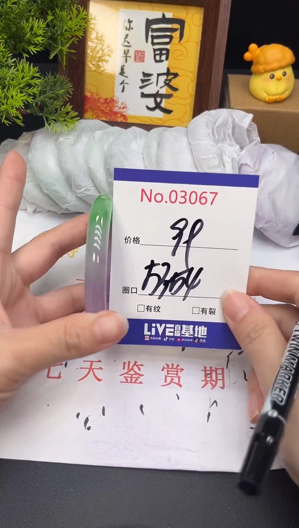 未镶嵌手镯翡翠3067