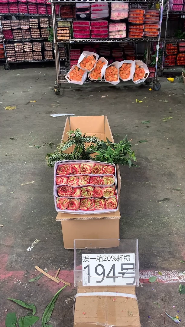 194号♥中通含20%耗损发一箱鲜花