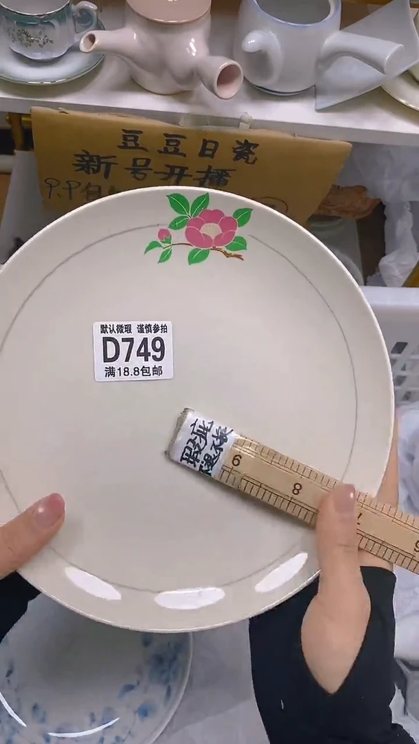 【闪购商品】其他瓷片【默认微瑕】--
