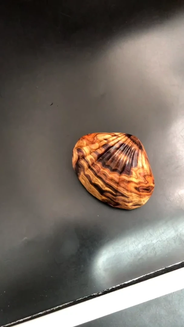 黄花梨/降香黄檀把件海黄野油贝壳把件