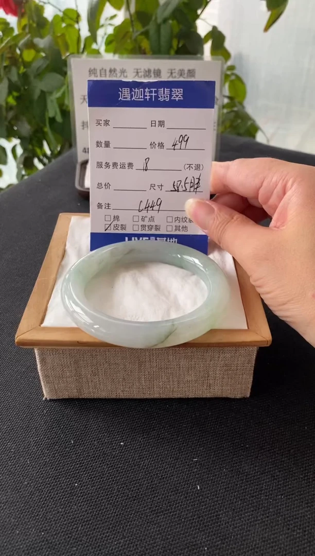 未镶嵌手镯翡翠58.5圈口 C449编码