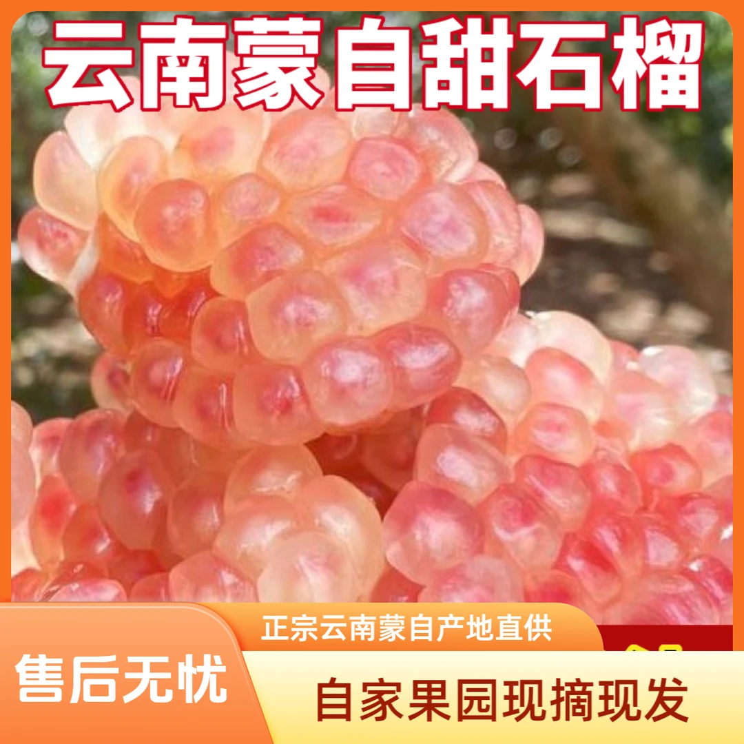正宗云南蒙自绿籽薄皮石榴硬籽多汁果园现摘石榴直播水果