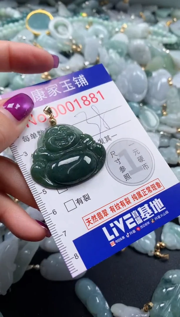 颈饰未镶嵌翡翠1881