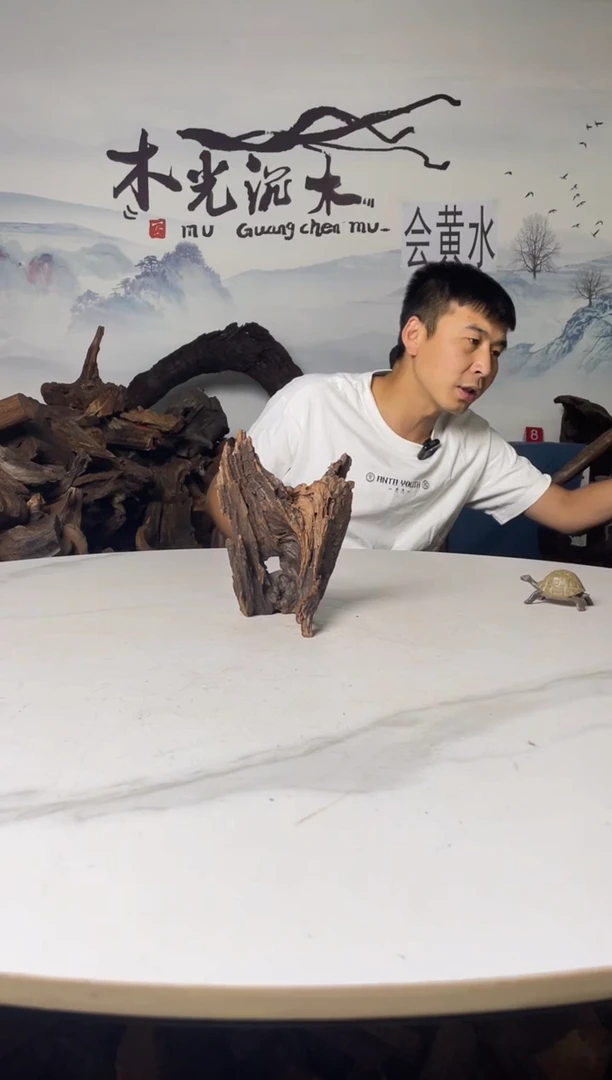 a298木光沉木木光沉木298