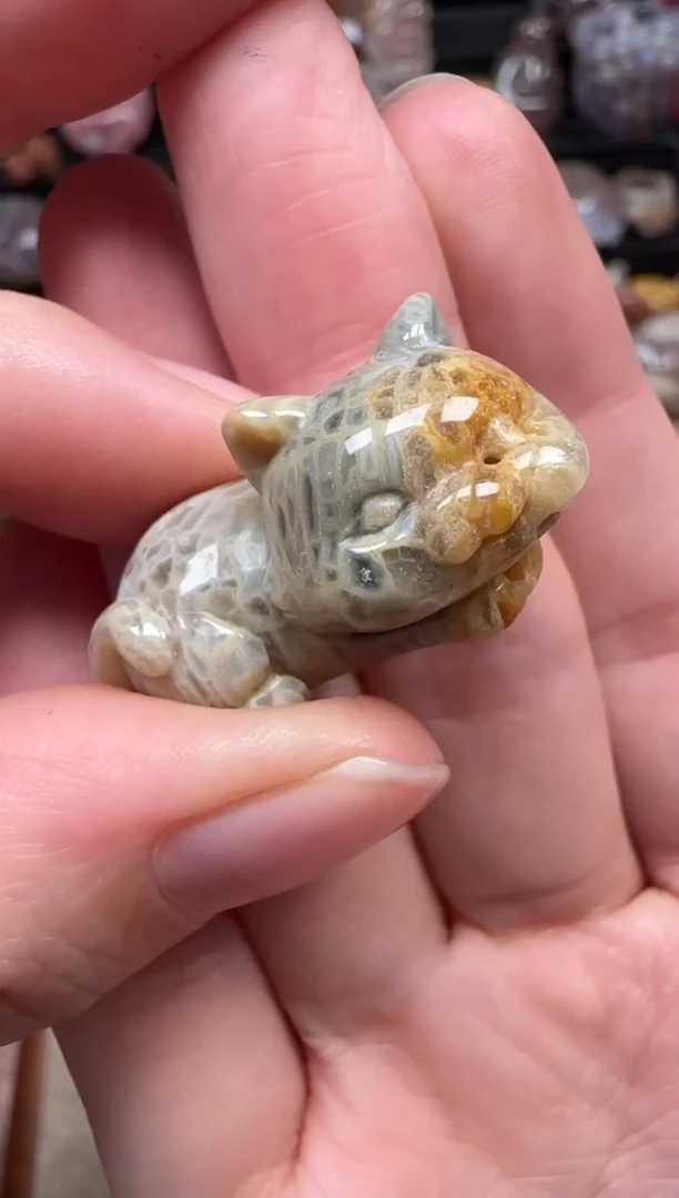 颈饰未镶嵌硅化珊瑚（珊瑚玉）298