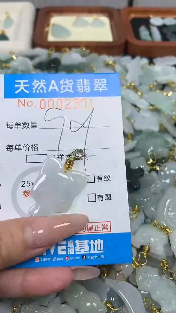 翡翠未镶嵌颈饰净货挂件-2301