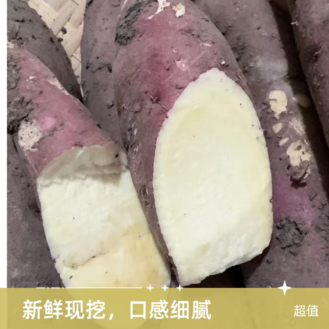 绿色食品红瑶蜜薯 现挖现发软糯香甜 流油流蜜红瑶蜜薯天津市