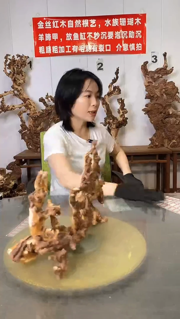 香榧木金丝红木 羊蹄甲