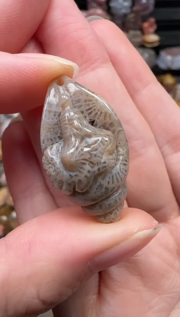 颈饰未镶嵌硅化珊瑚（珊瑚玉）266