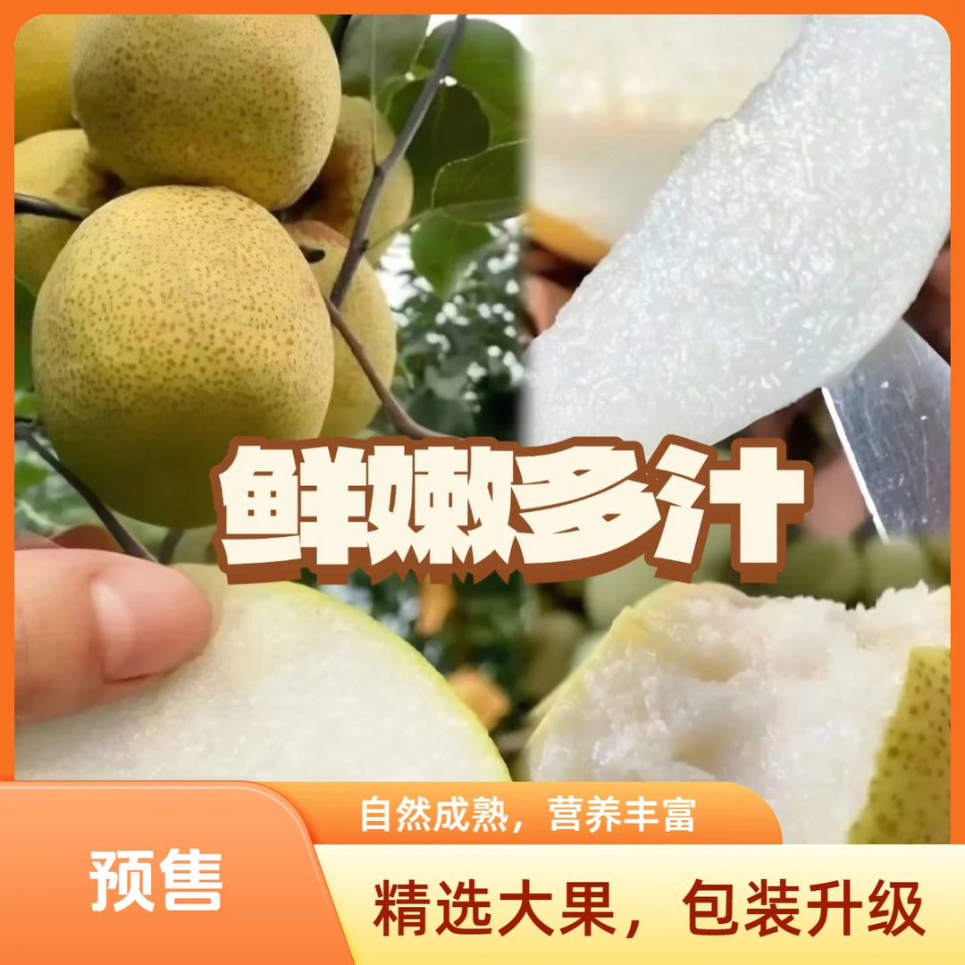 【双11提前囤】同川酥梨净重7斤当季水果珍珠棉箱装山西特产新鲜梨