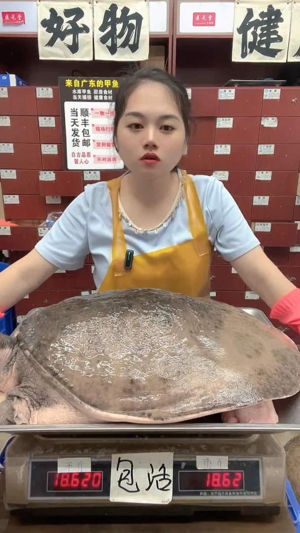 中国大陆用****518斤一只