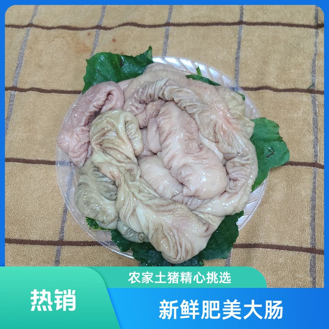 【森农印象农场】黑毛土猪 猪大肠 500g 直播间一物一拍以实物为准火锅食材