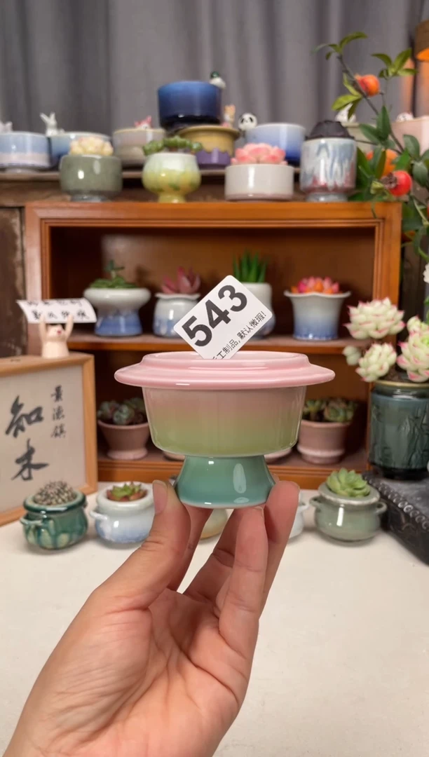 瓷片543知木小芳花盆