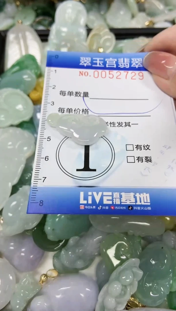 【闪购商品】翡翠颈饰未镶嵌闪购0052729