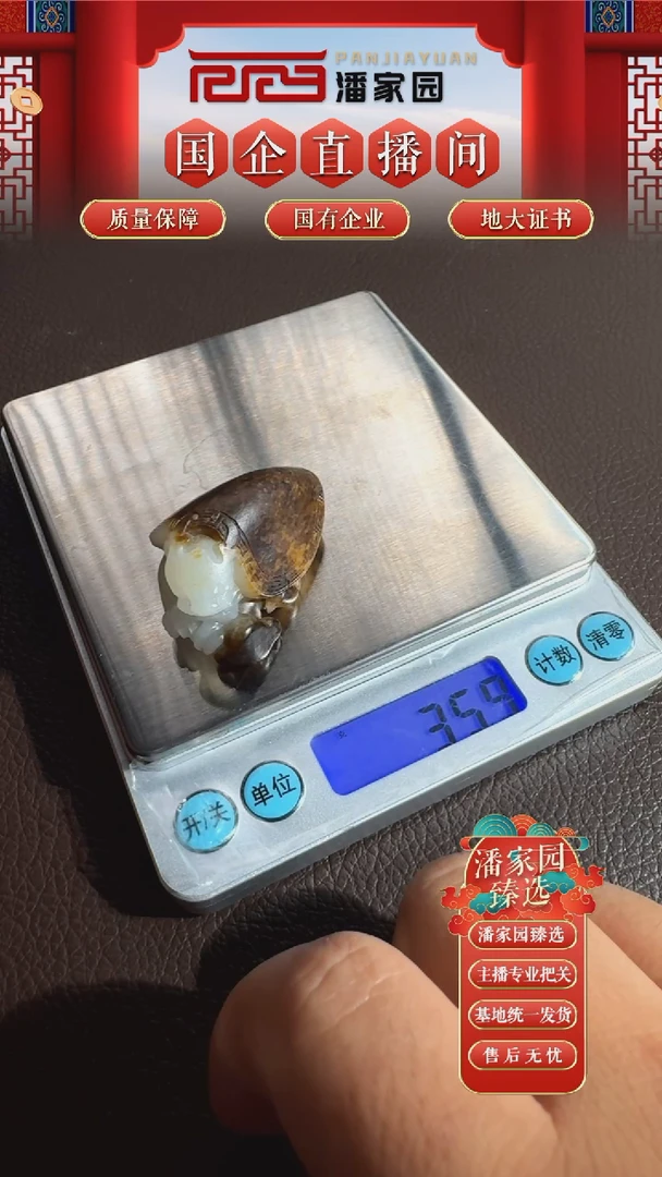 未镶嵌和田玉挂件60-YX-0916-和田玉-黑皮龙龟-新疆-10000-1