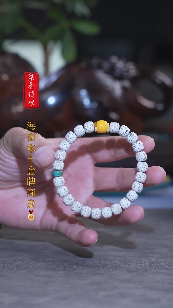 【闪购商品】星月菩提手串海南星月9x8