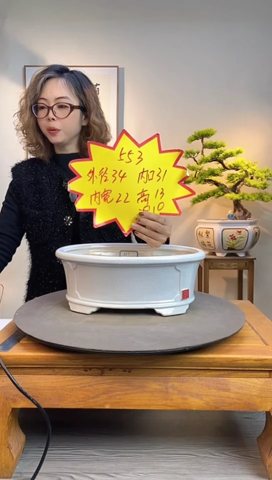 【闪购商品】陶瓷553白色两个