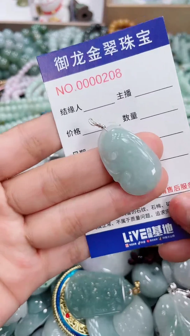 翡翠未镶嵌颈饰032