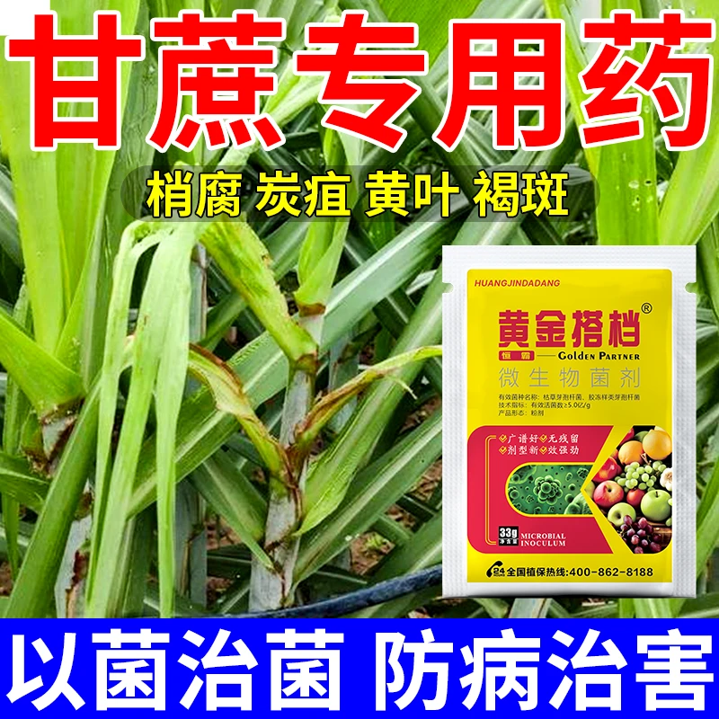 甘蔗锈病专用药甘蔗锈病清甘蔗病全管锈病黄叶黄点微生物菌剂正品