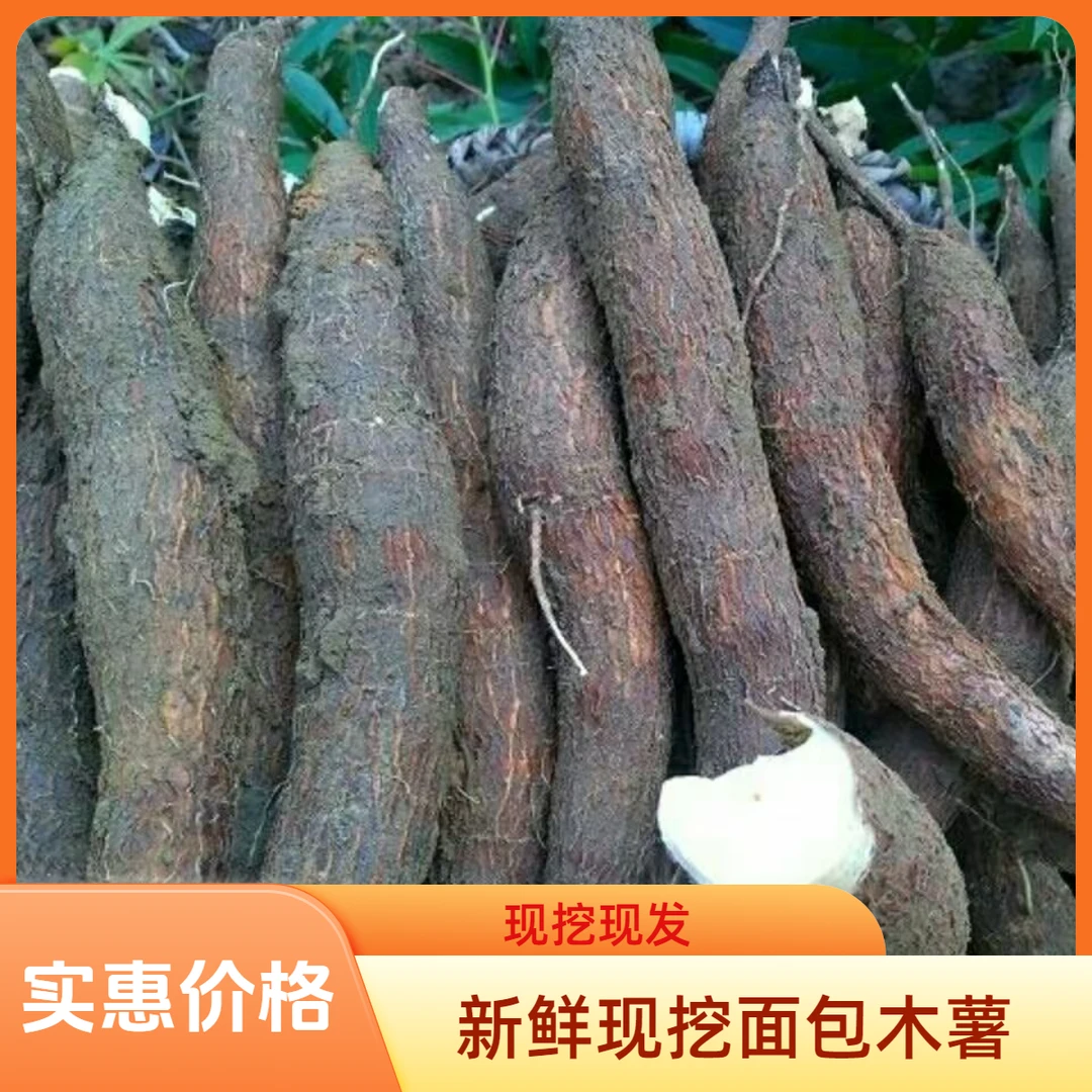 新鲜现挖红皮白肉面包木薯当季新鲜面包木薯糖水店同款粉糯香甜