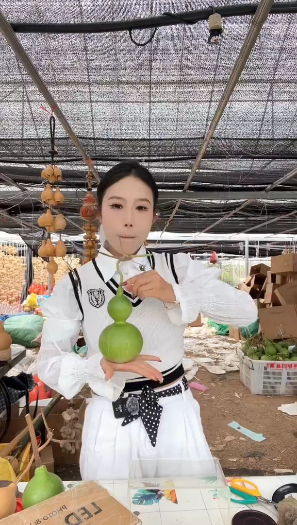 647天然葫芦摆件 一物一拍龙头不保售后