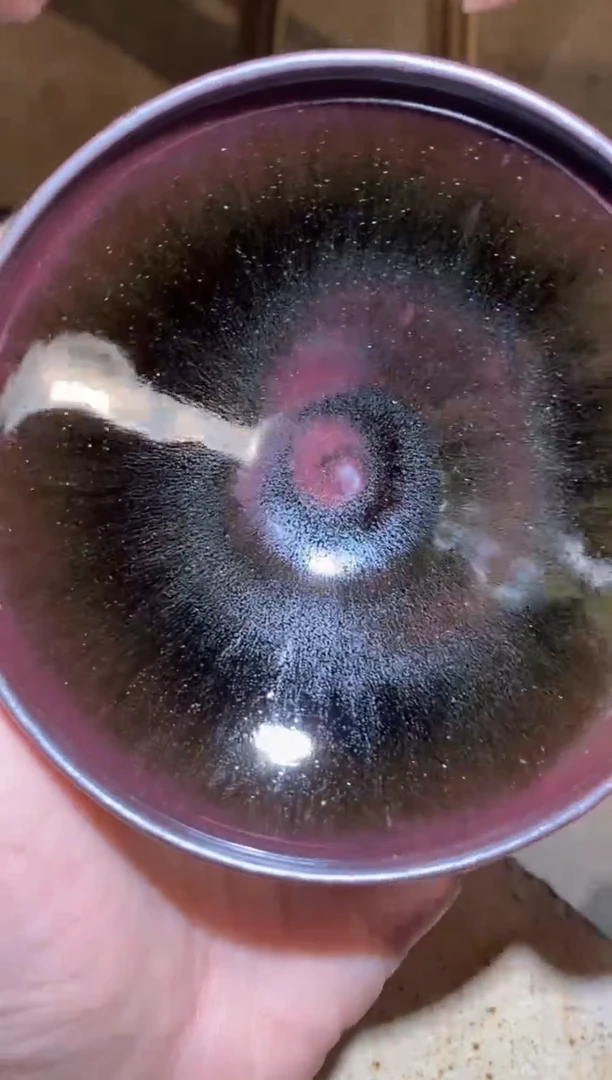 【闪购商品】茶盏宋钰柴烧 2025年首开 火火火