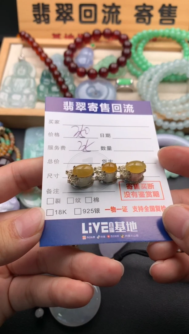 颈饰未镶嵌翡翠10145837