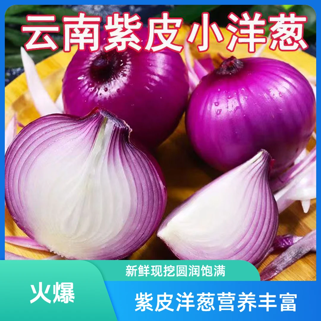 【新鲜现挖】紫皮洋葱圆葱新鲜蔬菜农家应季生吃黄茶营养丰富炒菜