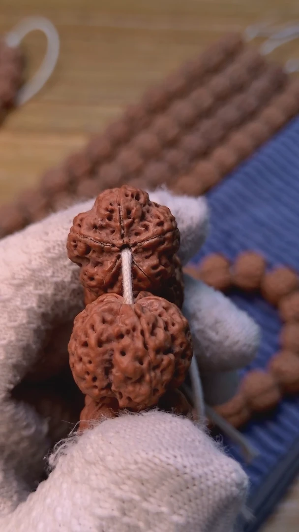 金刚菩提手串古龙梅花22