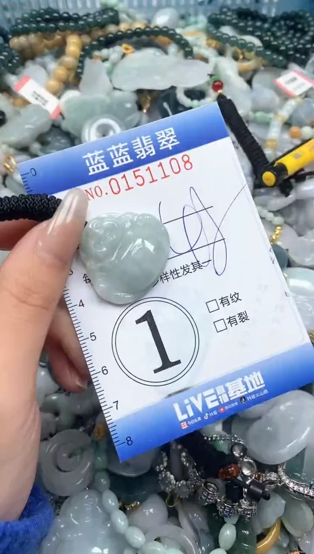 【闪购商品】翡翠颈饰未镶嵌闪购0151108