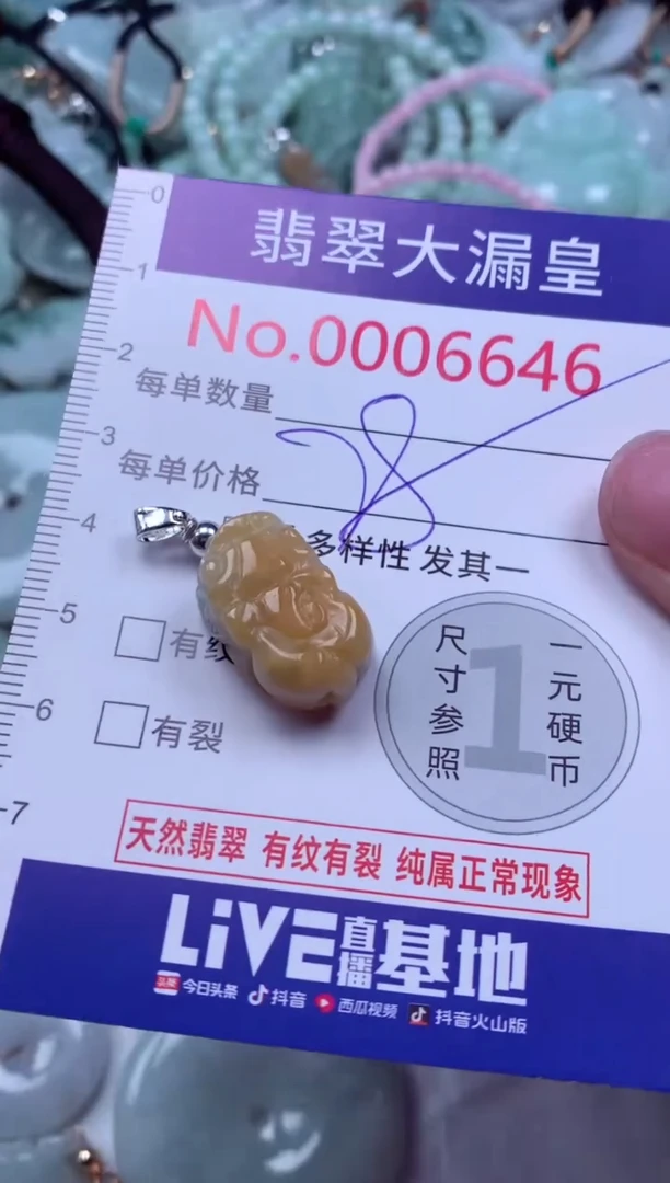 吊坠(不含链)未镶嵌翡翠6646