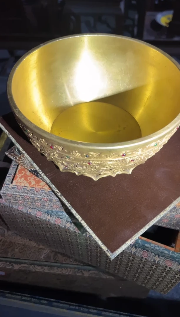 黄杨木11111111111111111111